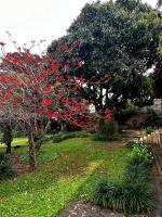 Hospedaria do Guata - B&B Tibagi