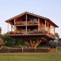 Deutschlands grösstes Baumhaus auf der Alpakaweide - B&B Traitsching