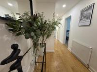 Lux 2 Bedroom Ground Floor Apartment - B&B Edimburgo