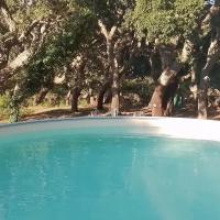 Tiny House nella natura Con Piscina privata "La sughereta" - Bed and Breakfast Calangianus