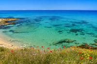 Apartment - Little Paradise - B&B Valledoria