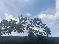 Impression of Karpaty - Chambres d'hôtes Yaremtché