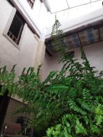 Green Riyadh - B&B Fes