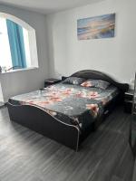 Apartament cu două dormitoare - B&B Ocna Şugatag