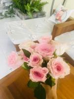 Phòng VIP có bồn tắm yên tĩnh trong Villa xanh mát - B&B Ho Chi Minh