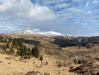 The Coorie - B&B Bargrennan