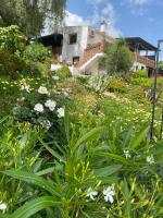 Glamping Bed and Breakfast Finca Alegria de la Vida - B&B Pizarra