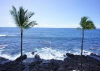 Kona Reef D37 - B&B Kailua-Kona