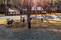 The Great Escape - B&B Ruidoso