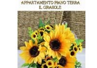 La casa dei gabbiani - B&B Torre del Lago Puccini