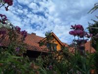 Apartment Casa Mengi - Idylle am Fuße der Neubürg - B&B Mistelgau