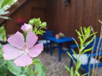 Apartment Casa Mengi - Idylle am Fuße der Neubürg - B&B Mistelgau