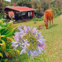 Finca La Picuda Quetzal Cottage - B&B Cartago