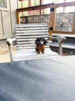 Mountain Pine Memories - B&B South Lake Tahoe