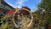 Zen Garden Escape 2BR near YVR - Bed and Breakfast Richmond