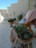 Alabianca - B&B Villa Vela