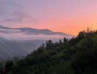 Haiku Cottages - Bed and Breakfast Merisi