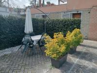 Vacanze Romane Olgiata - B&B La Storta