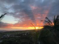 Vue mer et montagne dans jardin tropical - B&B Les Cocos