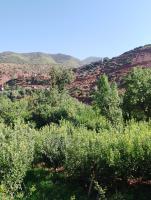 Dar El barge - Bed and Breakfast Arg
