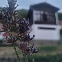 Ezüstfenyő Üdülő Visegrád - B&B Visegrád