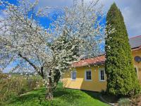 Ferienwohnung Renner - Ferienwohnung Falkenfels