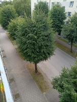 Jurmala apartment - Ferienwohnung Riga-Strand
