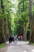 Villa Sumeya - Luxury in Nature - B&B Sarajevo