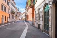 Violino green 1 - B&B Cremona