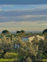 Can Mimosa Guesthouse - Bed and Breakfast Tortosa