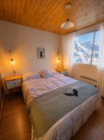 Mountain Aparts Cirrus - Ferienwohnung Las Leñas