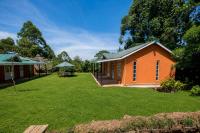Bird of Paradise - B&B Kakamega