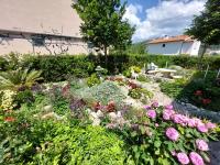 Apartmani Ivana na mirnoj lokaciji - B&B Arbe