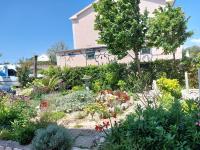 Apartmani Ivana na mirnoj lokaciji - B&B Arbe