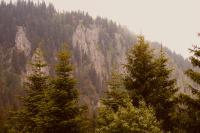 Jahorina Cozy Nook - Bed and Breakfast Jahorina