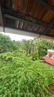 Peaceful retreat in Nelluwaya - B&B Vadakāncheri