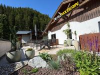 Die Filzmooserin - smart living apartments in Ski amadé, Filzmoos Card inklusive - Ferienwohnung Filzmoos