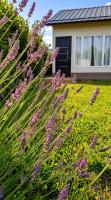 Casa Nácar - Alquiler Turístico Bariloche - B&B Bariloche