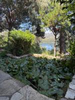 Peaceful Zen,1BDR Home in Hollywood Hills - Bed and Breakfast Los Angeles