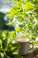 Seehaus an Badesee und Stausee - Bed and Breakfast Rauchwart im Burgenland