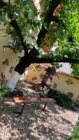 The Cozy Backyard Home- satu Mare - Ferienwohnung Sathmar
