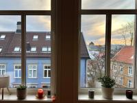 Central Cozy Flat in Bakklandet, Cathedral View ! Free parking - B&B Trondheim