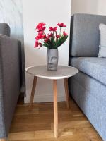 Nest CT - Ferienwohnung Cetinje