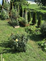 Apartment Garden - Free Parking - B&B Čajetina