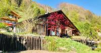 Unique Panorama Chalet - Lake Brienz and Alps - B&B Brienz