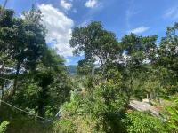 Bluebell Cottage - Ferienwohnung Ella Town