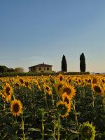 Villa Lumina Appartamenti - Bed and Breakfast Casalappi