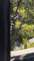 Sarayu Farmstays - B&B Manali