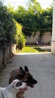 B&B mavipagi - B&B Verona