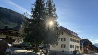 TOP Neu Felsenhof - B&B Münstertal, Black Forest